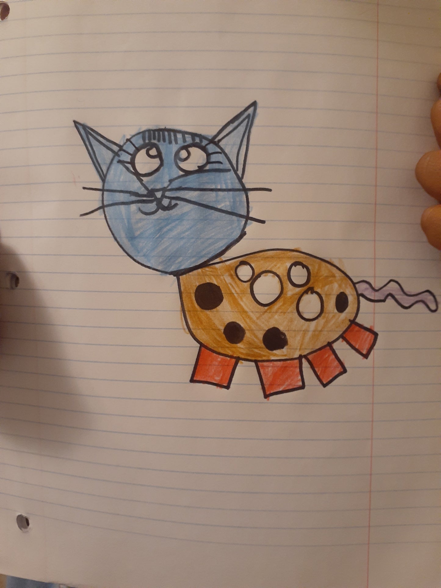 Pokey Cat